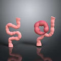 Pink Tubular Intestinal 3D Models With Curved And Circular Structure On Gray Background With Reflection