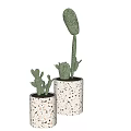 Living Plant Wall With Cactus Plants In Speckled Decorative Pots For Home Interior
