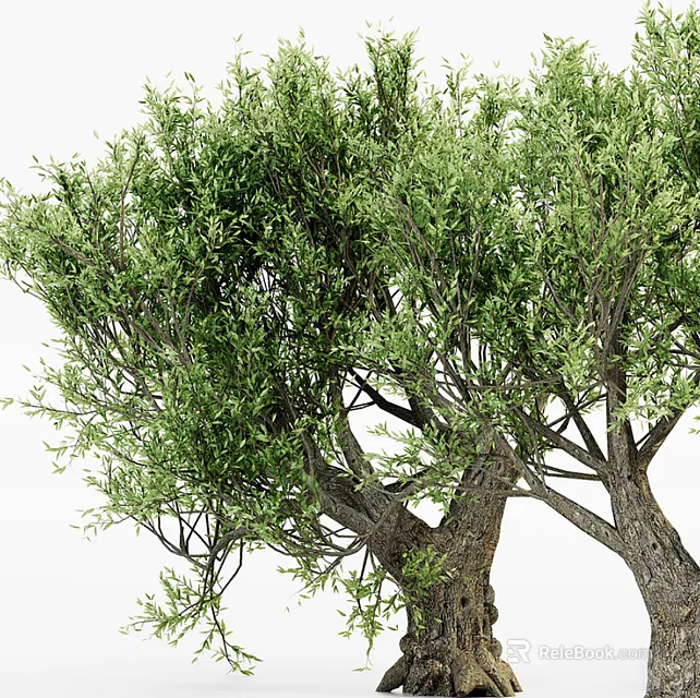 Lush Green Arbor With Dense Foliage And Strong Trunk In Natural Setting 3d model 