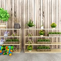 Various Potted Plants On Wooden Shelves With Green Foliage Purple Yellow Flowers And Wood Wall Background