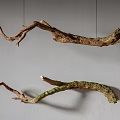 Branch Shaped Wall Hanging with Natural Brown Green Texture for Home Decorative