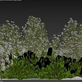 Diverse Garden Shrubs With Green And Yellow Foliage In Landscaped Outdoor Space