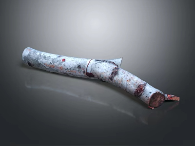 Natural Wood and Stone Log with White Red Spots and Detailed Textured Surface 3d model