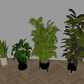 Various Indoor Potted Plants With Different Planters In Modern Interior Setting 3d model