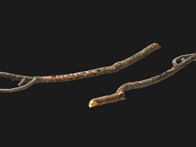 Modern branches 3d model Modern branches 3d model