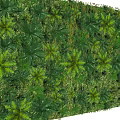 Lush Vertical Plant Wall with Diverse Green Leafy Foliage for Decorative Design