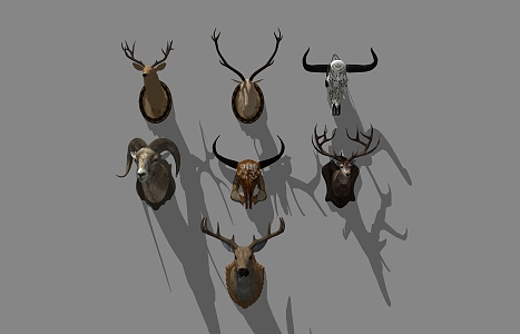 Modern Animal Wall Decorations Animal Hanging Ornaments 3d model