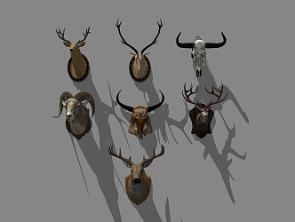 Modern Animal Wall Decorations Animal Hanging Ornaments 3d model