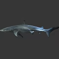 Realistic Blue Shark Model Swimming With Silver Blue Body And Reflection On Dark Surface