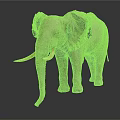 Gray Elephant with Large Ears Long Trunk and White Tusks Standing on Dark Background