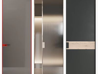 Modern Sleek Hinged Door Design With Metallic Frame And Frosted Glass Panel 3d model