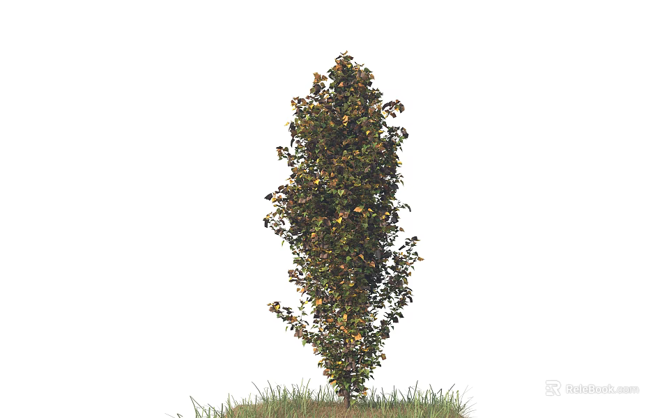 Tall Arbor With Lush Foliage And Colorful Leaves Growing On Green Grass 3d model 