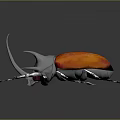 3D Rendered Beetle With Orange Red Body Gray Horned Head Slender Legs On Dark Background