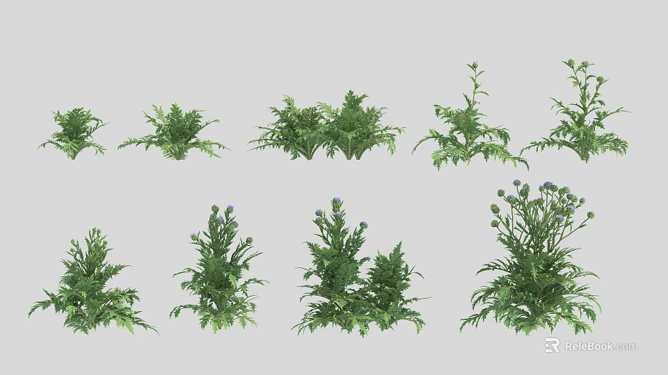 Fresh Various Green Vegetable Plants Arranged in Rows with Leafy Greens and Herb Varieties 3d model 