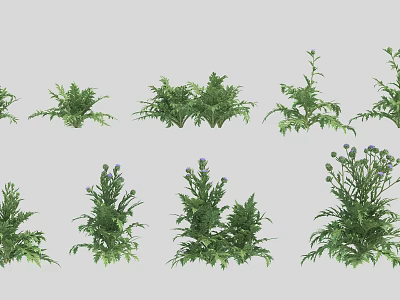 Fresh Various Green Vegetable Plants Arranged in Rows with Leafy Greens and Herb Varieties 3d model