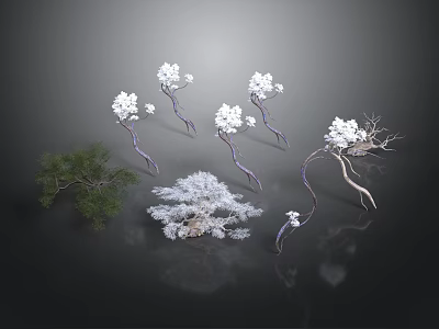 Decorative Plants With White Flowers And Green Leaves In Various Forms 3d model