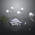 Decorative Plants With White Flowers And Green Leaves In Various Forms
