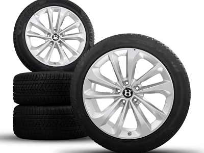 Automotive Tires With Silver Alloy Spoke Wheels And Stacked Design For Vehicles 3d model