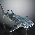Large Spotted Whale Shark With Small Fish In Realistic Marine Scene