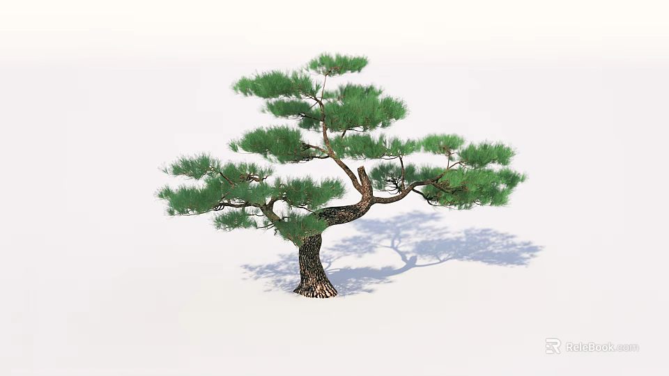 Lush Green Pine Tree With Textured Brown Trunk And Natural Foliage 3d model 