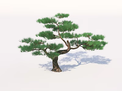 Lush Green Pine Tree With Textured Brown Trunk And Natural Foliage 3d model