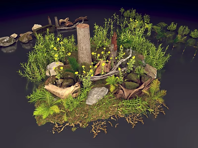 Natural Miniature Landscape With Tree Stump Stones Green Plants And Yellow Flowers 3d model
