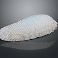 White Clam Shell With Regular Texture On Gray Background And Reflection 3d model