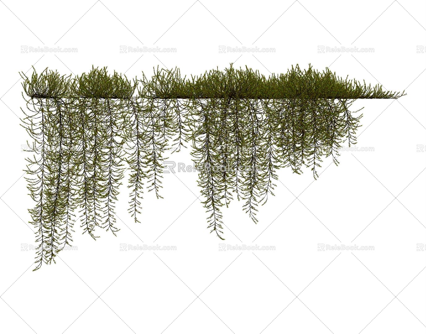 Modern Vine Green Vine 3d model