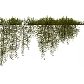 Hanging Vines with Lush Green Leaves Natural Decorative Plant Growth for Indoor Outdoor Spaces