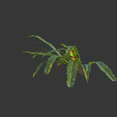 Lush Green Plants With Long Narrow Leaves And Small Yellow Flowers 3d model