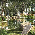 Scenic Garden View With Tall Trees Pond Reflections Large Rocks And Colorful Flowers