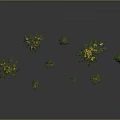 Various Types of Trees With Fruits Different Sizes Shapes Gray Background Reflective Ground