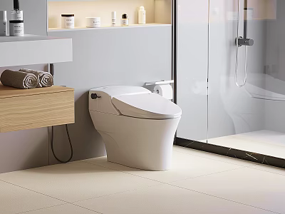 Modern Bathroom Interior With White Toilet Wooden Vanity And Rolled Towel Near Shower 3d model