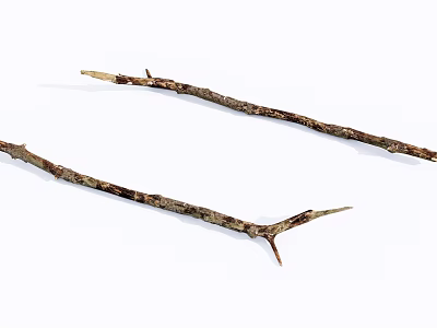 Natural Stone Wood Branches Featuring Rough Texture and Brown Tones on White Background 3d model