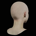 Bald Woman Front View Close Up Upper Body Portrait Isolated on Black Background