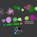 Various Colorful Bushes With Green Pink Purple Foliage For Garden Landscaping