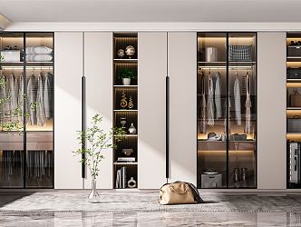 Modern wardrobe combination 3d model