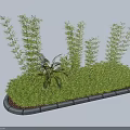 Neatly Arranged Lush Green Shrubs Landscaping With Varied Foliage And Stone Border