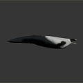 Modern Dolphin Spots Dolphin Cartoon Dolphin Animation Dolphin 3d model