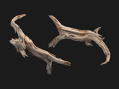 Dry Tree Branches With Weathered Texture And Twisted Natural Shape On Black Background 3d model