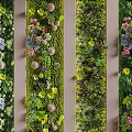 Lush Diverse Living Plant Wall with Mixed Greenery Flowers and Vertical Garden Style