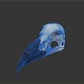 Modern skull The skull of the raven 3d model