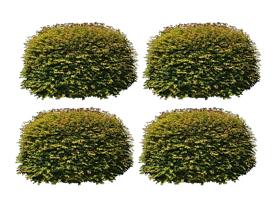 modern shrub big tree 3d model modern shrub big tree 3d model
