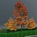 Autumn Arbor Featuring Red Orange Leaves Surrounded By Small Trees And Green Shrubs