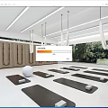 Modern Fitness Studio With Yoga Mats Hanging Rings Wooden Lockers Fitness Ball And Green View