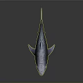 Striped Tiger Shark With Sharp Teeth And Gray Blue Skin In Dark Background