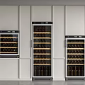 Modern Built in White Wine Coolers with Multiple Bottle Storage Design 3d model