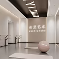 Modern Yunli Art Dance Studio Interior With Barres Exercise Ball And Yoga Mats