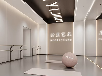 Modern Yunli Art Dance Studio Interior With Barres Exercise Ball And Yoga Mats 3d model