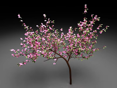 Beautiful Pink Blossom Tree With Green Leaves In Full Bloom 3d model